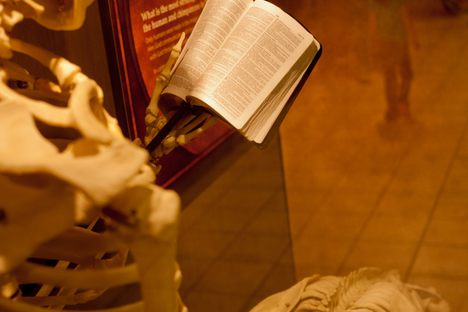 The Creation Museum