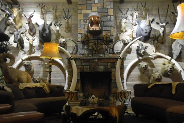 Wilbur's trophy room contains a variety of things made from animals.