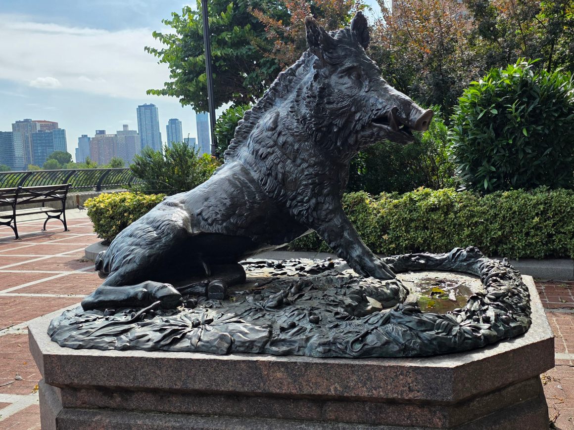 Wild Boar in Sutton Place Park. Now I have been.