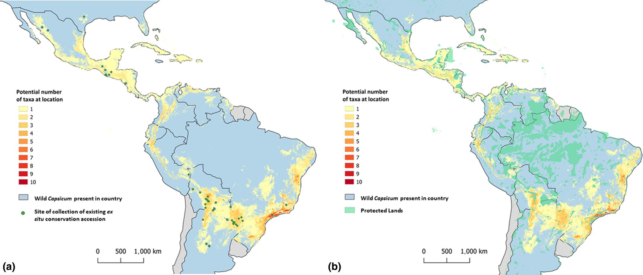 The map on the left shows areas likely to have a particularly high concentration of chili pepper wild relatives for exploration. The map on the right shows areas that should be highest priority for conservation.