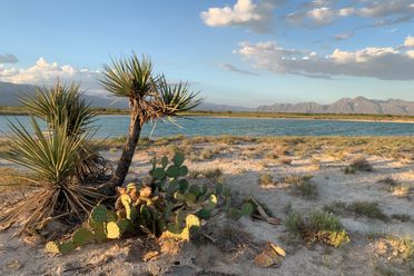 mountains, sand, blue waters and cactuses 