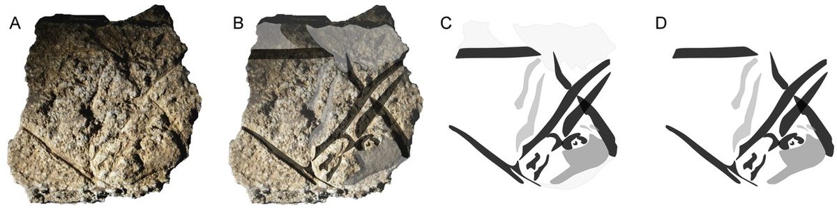 A small stone depicting an anoa, which can be very hard to spot at first glance.