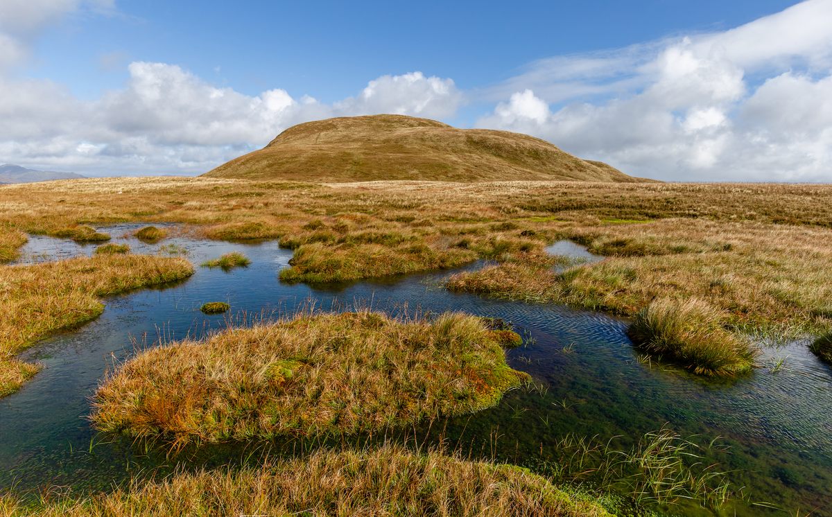 Bogs—like this one in Scotland—have the right conditions to preserve organic material, from people to beetles to butter, for millennia.