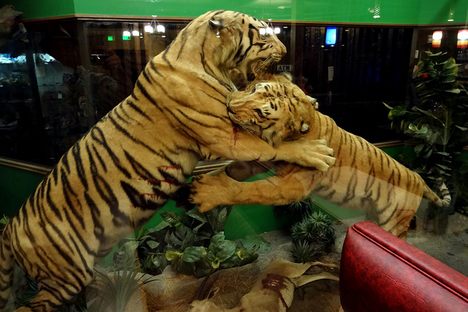 Legendary Safari Club
