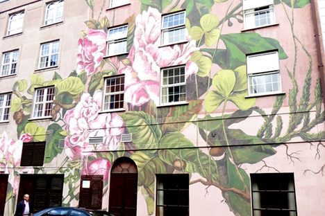 Waterford  Walls Festival 