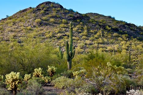 Arizona City Buys Man's House for $4 Million, Lets Him Live Rent-Free for the Rest of His Life