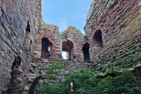 Inside the overgrown castle