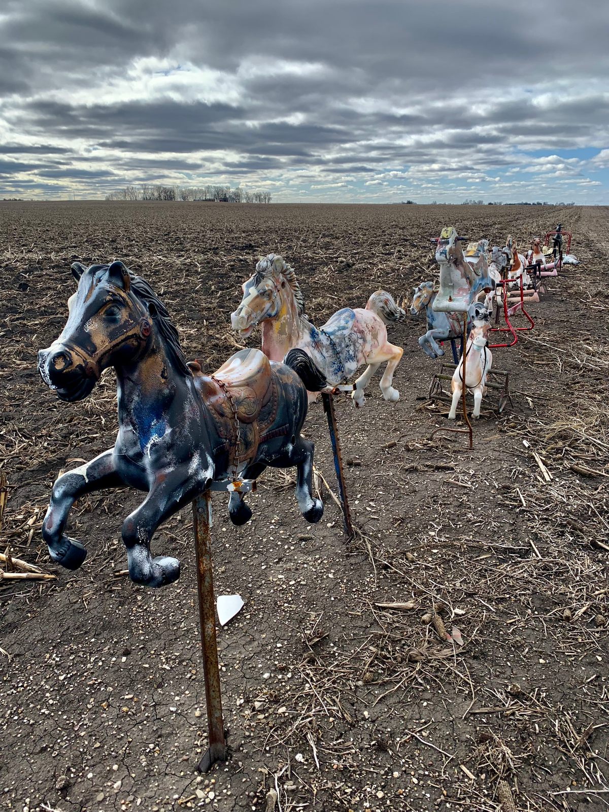 Honorable mention: Brianna Duddy's photograph of <em>Bouncy Horse Gallop</em> in Chenoa, Illinois.
