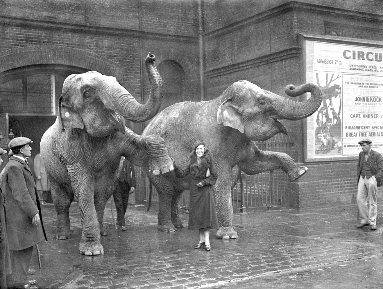 Rasputin's daughter as animal trainer at London circus - 23-December-1934