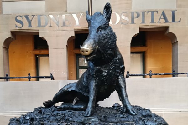 Sydney’s Philanthropic Bronze Boar