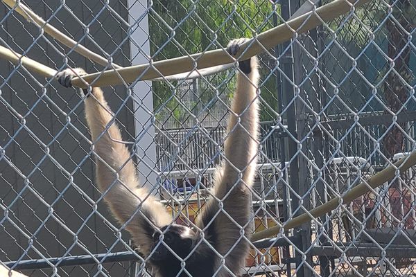 Hanging around 