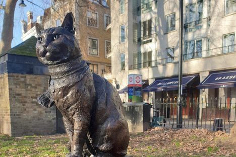 The statue of Bob, a ginger street cat.