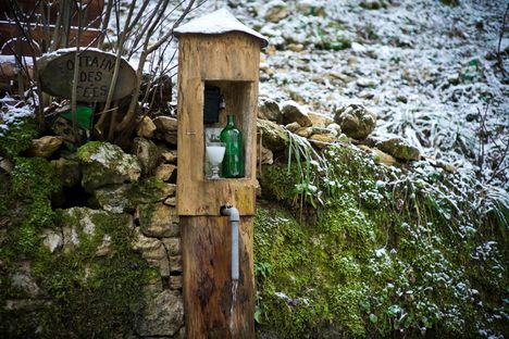 A bottle of absinthe tucked away in the woods. 