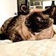 Miss blake profile photo