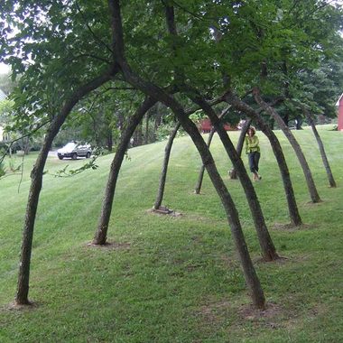Five Elm Arches, in Woodstock, Vermont.