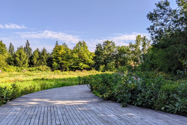 The landscape is ringed by wooden walkways.
