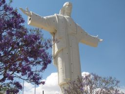 Cristo towering over blooming jacarandas