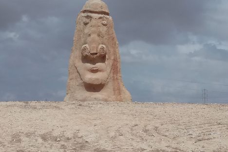 Negev Guardian
