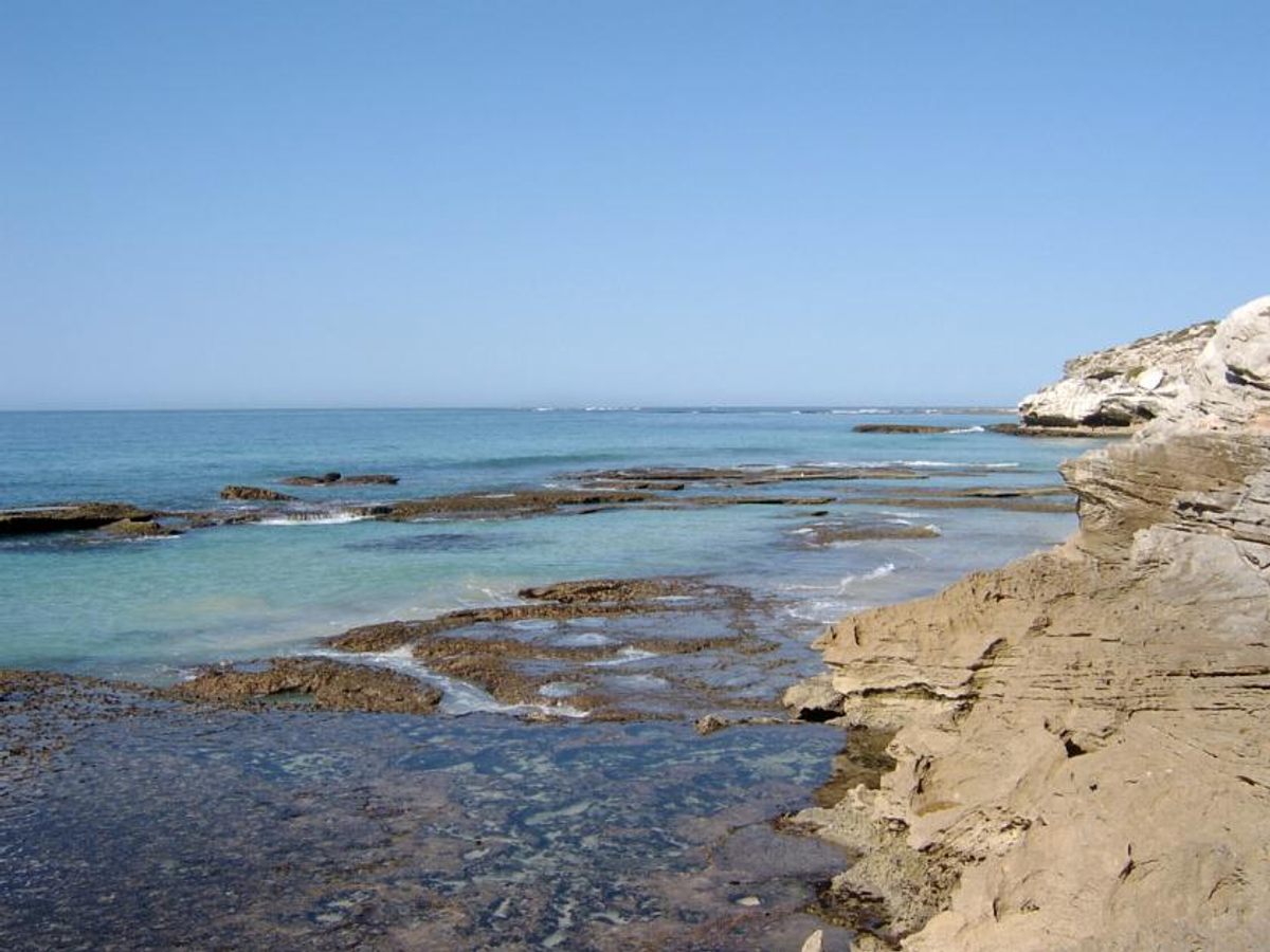 The researchers uncovered the fossils near the seaside town of Arniston.