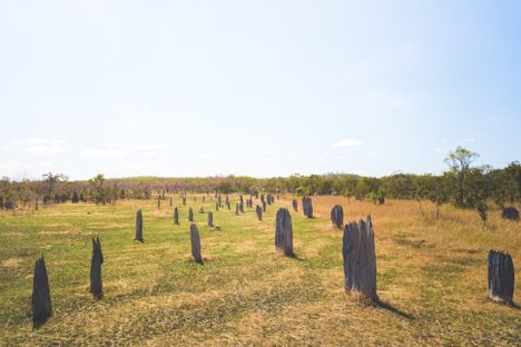 Explore Litchfield