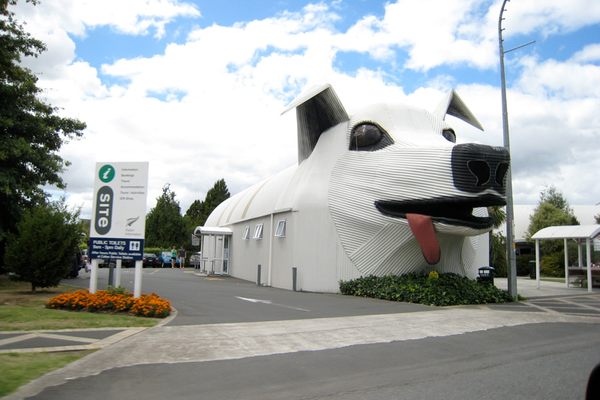 Big Dog and Sheep