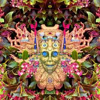 Profile image for NialB