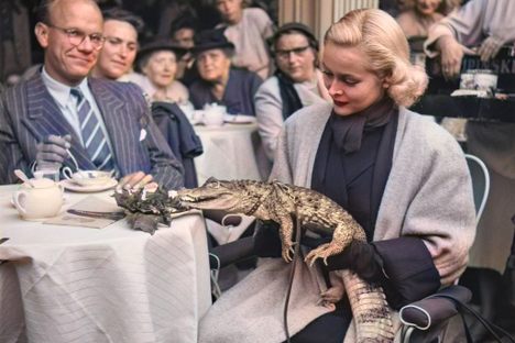 How Alligators and Humans Became Friends—Kind Of