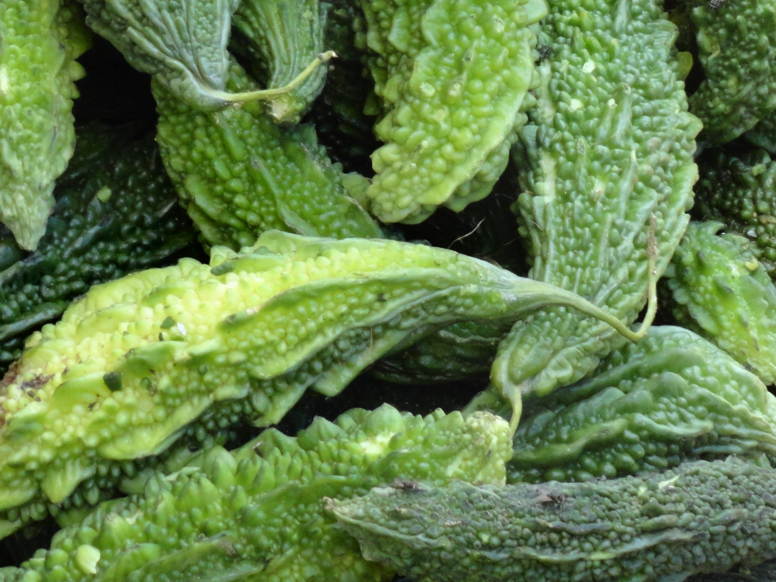 Bitter gourd, with a flavor that matches its name, is popular across Asia and, increasingly, the United States.