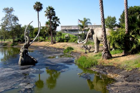 La Brea Tar Pits