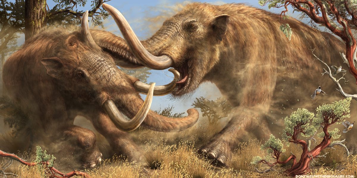 Paleoartist Brian Engh's Pacific Mastodon mural, commissioned by The Western Science Center in Hemet, California. (Note: mastodons are not mammoths.)