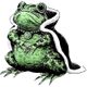 Avatar image for sheilafrog