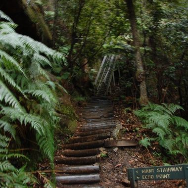 The Giant Stairway