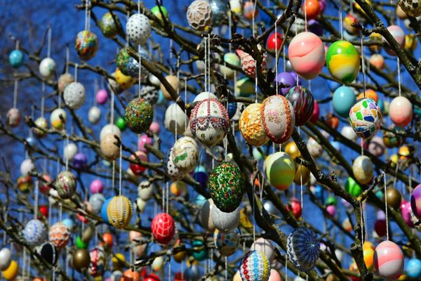 The Easter egg tree custom, pictured here in Saalfeld, Germany, has gained some ground in the United States. 