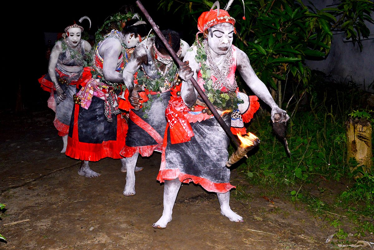 The Bwiti Missoko, an indigenous group in Gabon, use kevazingo for celebratory, medicinal, and protective rituals.