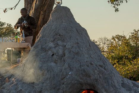 Termite Mound Ovens