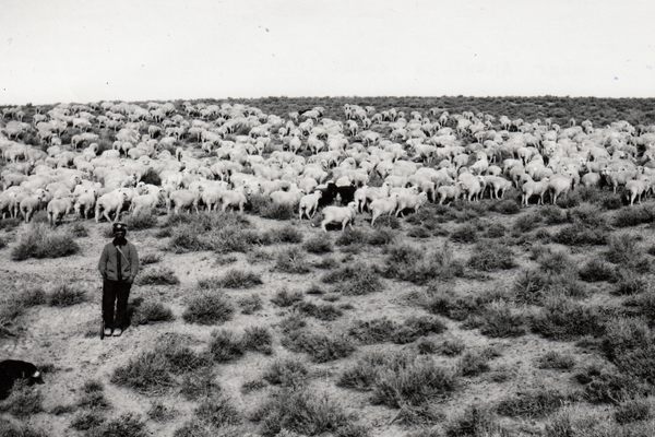 Nevada’s Basque community began with sheepherders, who settled here in the late 19th century. 