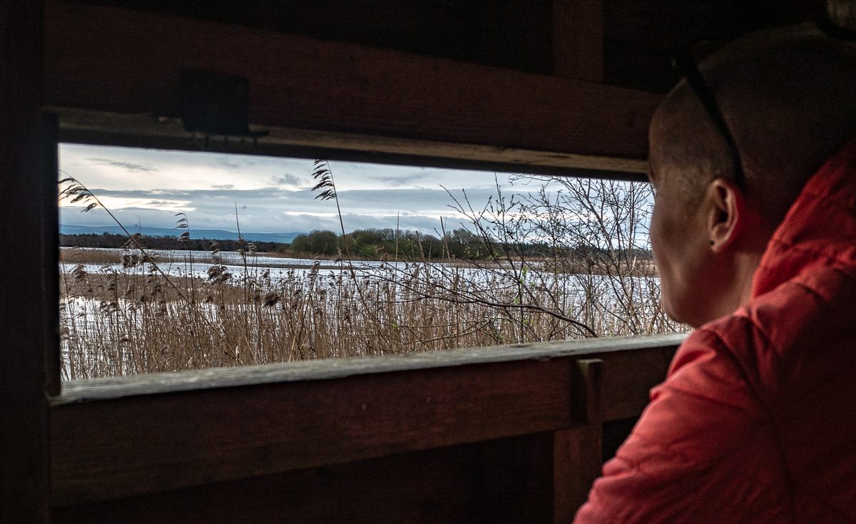 Boora resident Cathy Kerwin looks at Turraun Wetland from inside a bird hide.