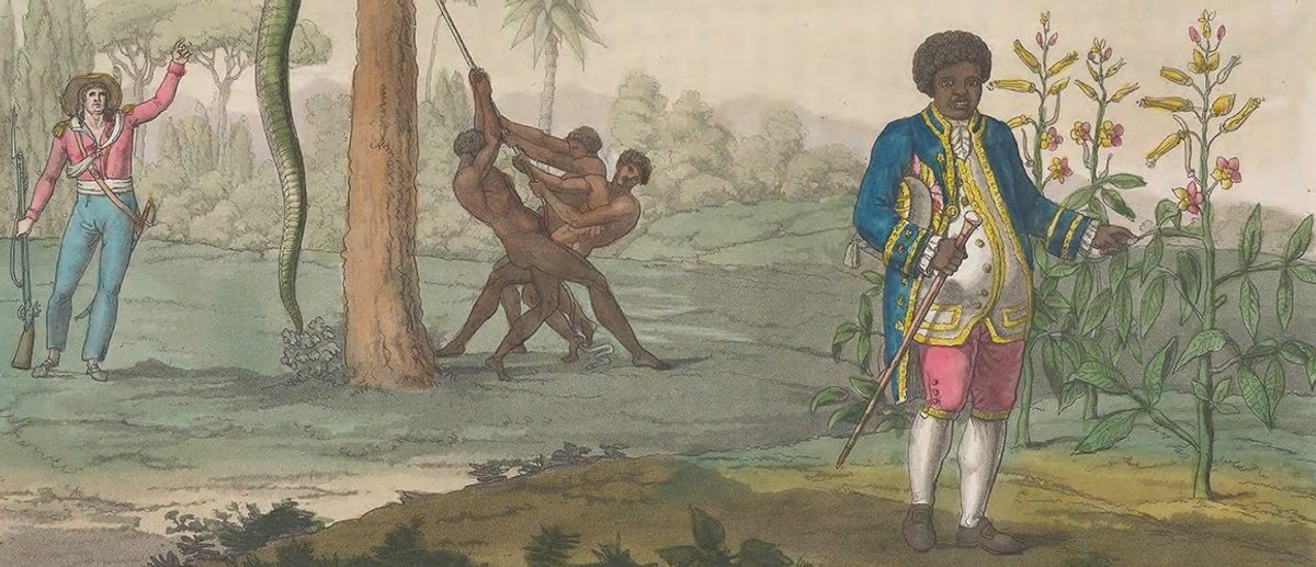 Graman Kwasi stands beside a <em>Quassia amara</em> plant. In the background, three enslaved African people skin a snake in a tree.