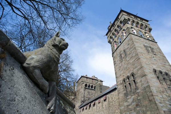 Lynx and castle clocktower