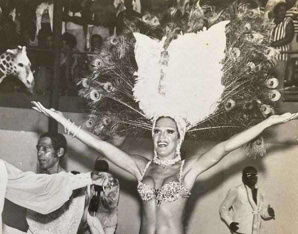 vintage carnival costumes
