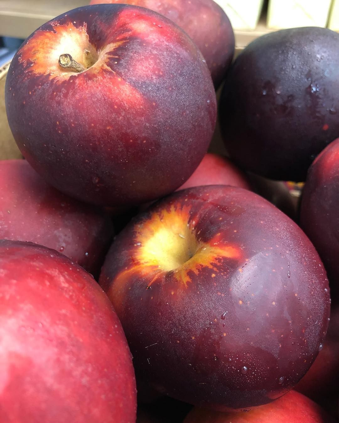 Black Arkansas apples get better with age.