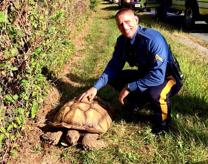 A member of the Pattenburg Volunteer Fire Company posing with Sulley, finally found a mile from home.