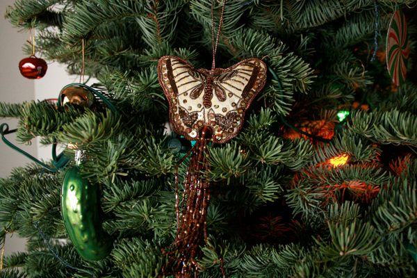 A Christmas pickle nestled between other tree ornaments. 