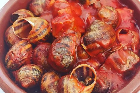 Caracoles