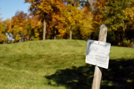 Buffalo Effigy Mound #9
