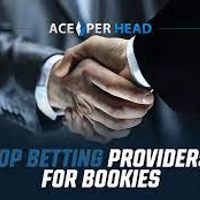 Profile image for Sports Betting Platform Providers 5