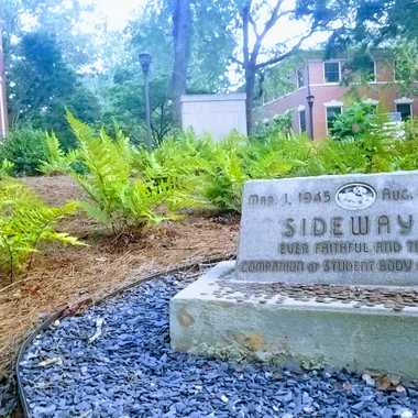 Sideways' grave at Georgia Tech. 