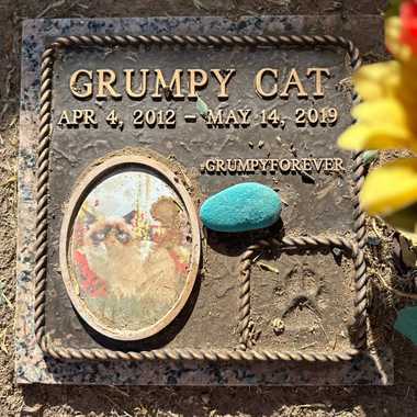 Grumpy Cat’s headstone.