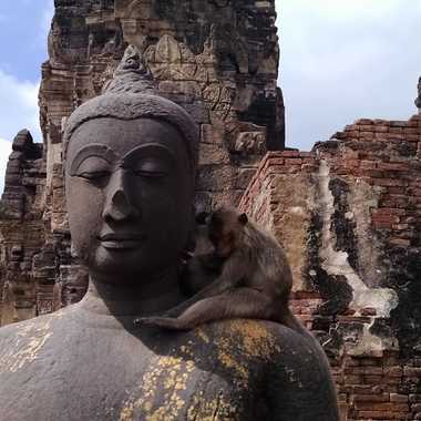 A macque sits on the Buddha’s shoulder.