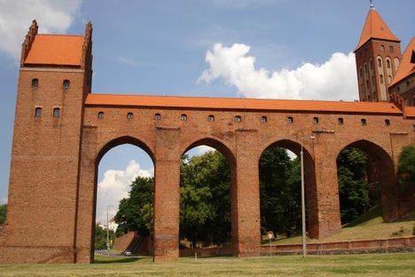 Kwidzyn Dansker